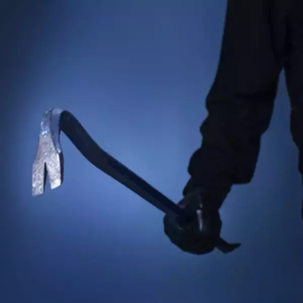 わが国では日常茶飯事だけど・・・「世界一安全な都市」東京で最も多い犯罪とは＝中国