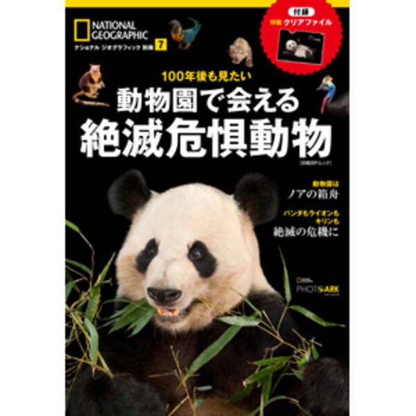 ジャイアントパンダだけじゃない キリンやチンパンジーも 絶滅危惧種 17年10月16日 エキサイトニュース