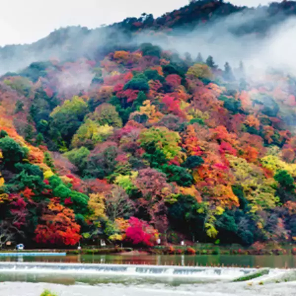 中国人旅行客「韓国へはもう行きたくない」が「日本にはまた行きたい」＝中国報道