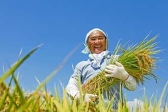 中国は農業大国なのに！　なぜ日本から米を輸入する必要があるのか＝中国報道