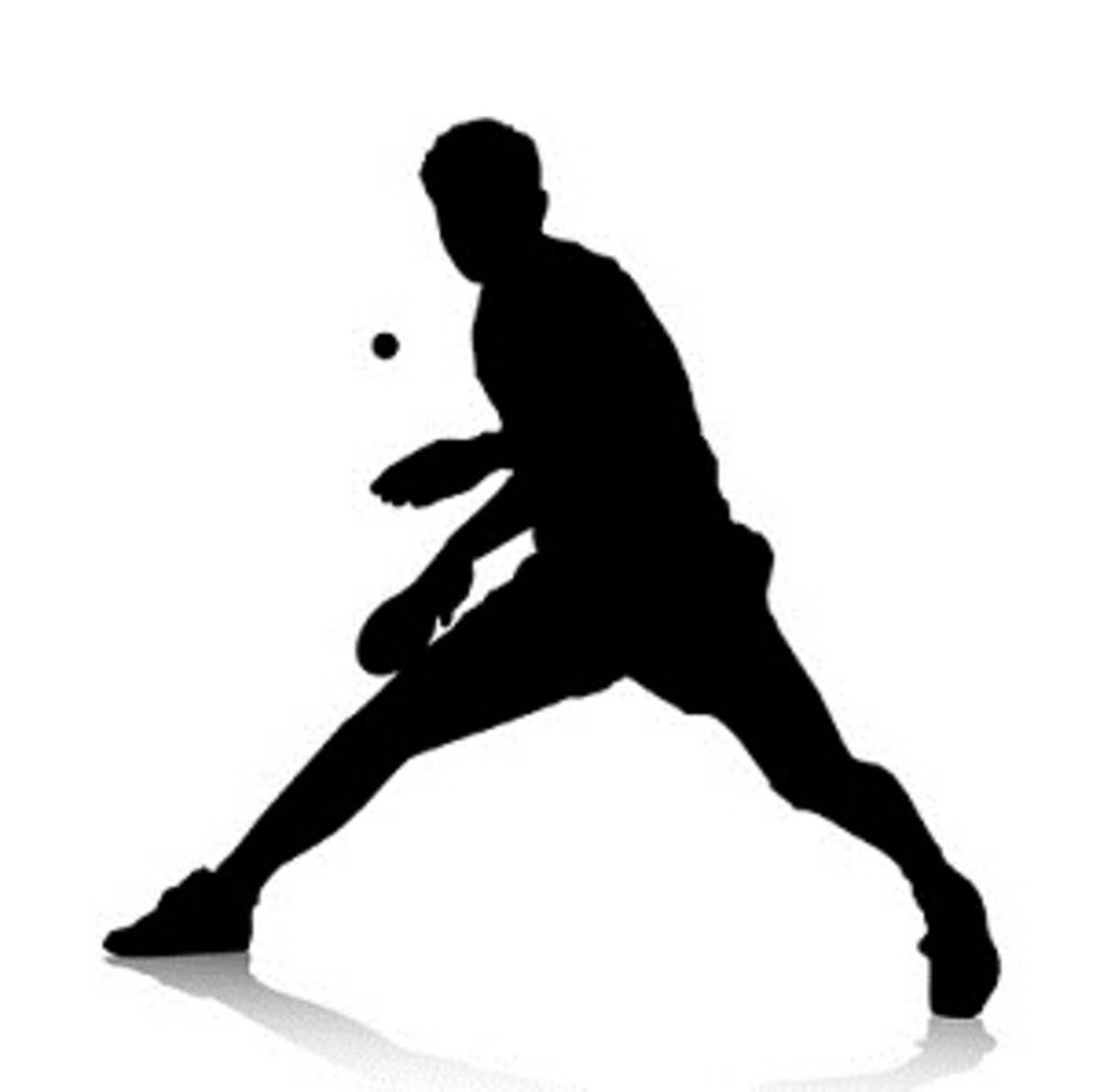 中国で一番好かれている 日本の男子卓球選手は誰 中国メディア 18年1月13日 エキサイトニュース