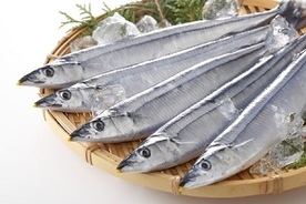 漁業資源の減少は中国のせいじゃない「日本人の食習慣を見直すべき」＝中国メディア