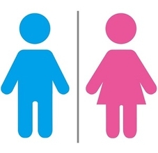 ここは女子トイレっ！！　東京の駅にあるトイレのものすごい「主張っぷり」が、台湾ネットで話題に