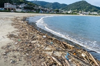 日本の海岸に流れ着いたゴミ、８０％が「中国製」＝中国メディア