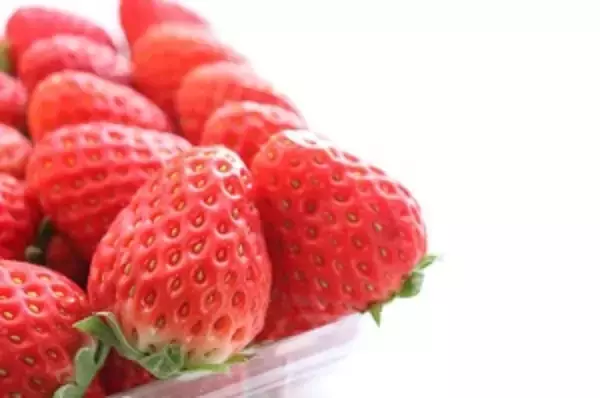 「こ・・・これが日本のイチゴ？　中国人が「仰天」した日本の高級イチゴ＝中国メディア」の画像