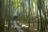 「こ、これは一体何なのか・・・日本にある「信じられないお寺」に中国人も仰天　！？」の画像1