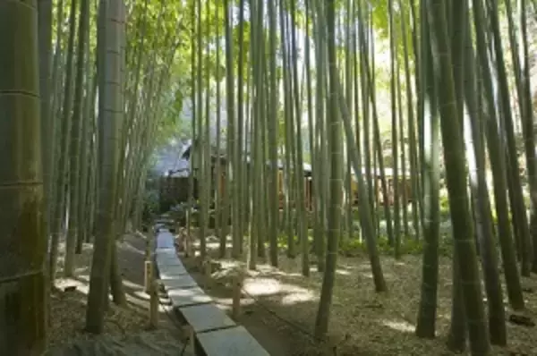 こ、これは一体何なのか・・・日本にある「信じられないお寺」に中国人も仰天　！？