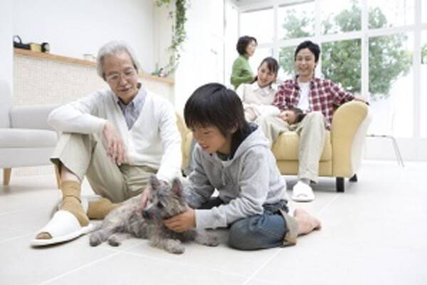 日本の 他人に迷惑をかけない 習慣は中国人には理解不能 中国メディア 2018年7月11日 エキサイトニュース