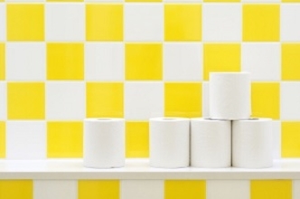 中国人が日本のトイレの「清潔さ」じゃなく、「トイレットペーパー」に驚いた理由＝中国