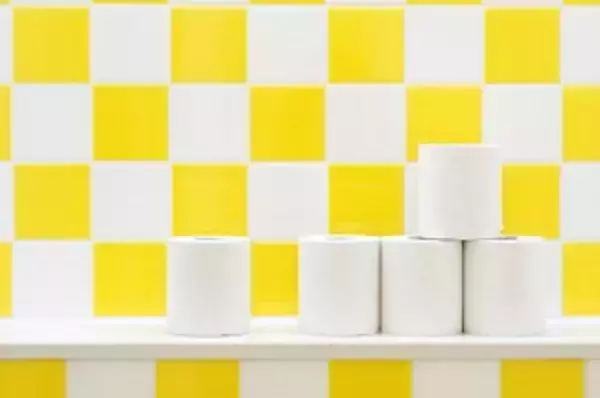 中国人が日本のトイレの「清潔さ」じゃなく、「トイレットペーパー」に驚いた理由＝中国