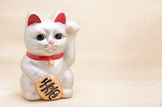 幸運を招く？　日本にある「招き猫の都」を訪れてみた！＝中国メディア