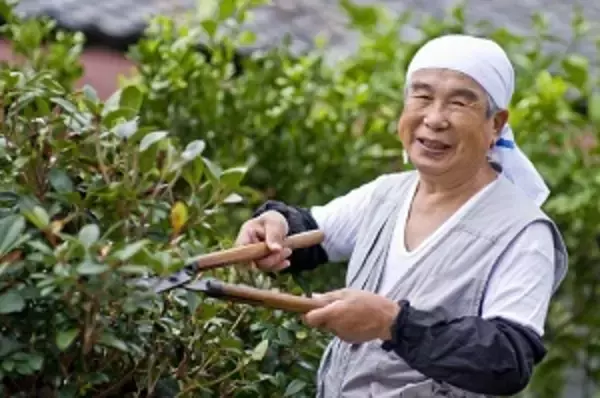 労働者の高齢化に悩む中国の地方部　「日本の老人は７０歳になっても質の高い仕事ができる」＝中国メディア