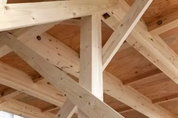 日本で行われている木材の下処理法を見て、日本人はなんて頭がいいのだろうと思った＝中国メディア