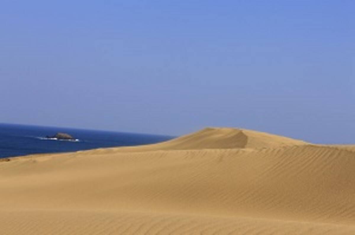 中国が砂漠の緑化に取り組むなか 日本では 砂漠 の草を一生懸命抜いていた 中国メディア 19年4月1日 エキサイトニュース