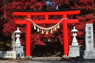 日本人の宗教観は不思議！　そして神道は「不遇すぎる」＝中国メディア