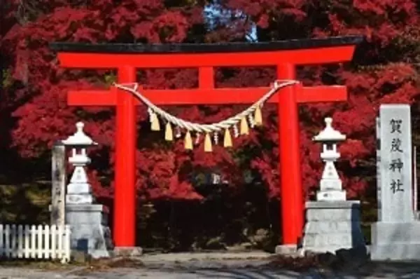 日本人の宗教観は不思議！　そして神道は「不遇すぎる」＝中国メディア