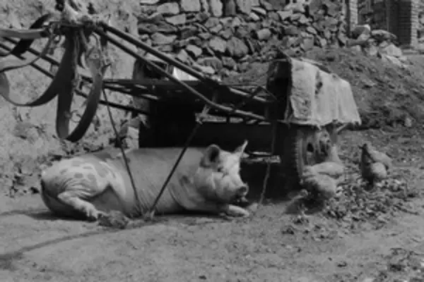 なるほど！　日本の農村における過疎化対策は「参考になるぞ」＝中国メディア