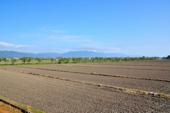 わが国が日本の農業に追い付くには「少なくともあと５０年はかかる」＝中国メディア