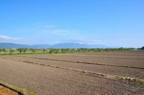 わが国が日本の農業に追い付くには「少なくともあと５０年はかかる」＝中国メディア