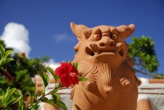 日本はストレスが多い国なのに、日本人はどうして長寿なのか＝中国メディア