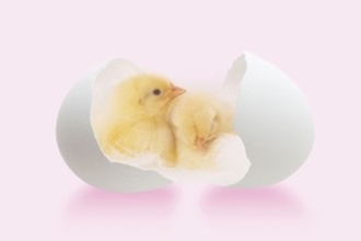 日本の高校生による「実験」を見て「日本人がノーベル賞を獲れる理由がわかった」＝中国