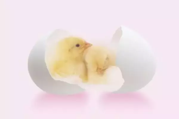 日本の高校生による「実験」を見て「日本人がノーベル賞を獲れる理由がわかった」＝中国