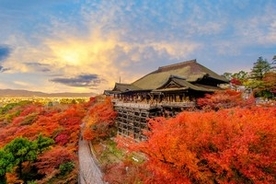 一生に一度しか日本に行けないなら、「自分は秋の京都を訪れる」＝中国メディア
