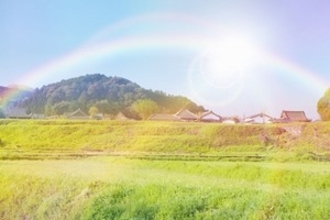 日本と中国の農村にある圧倒的な差「数十年で埋められるレベルじゃない」＝中国