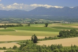 日本は災害が多くて人が住むのに適していない国？　それは誤解だ！＝中国メディア