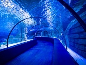 中国高速鉄道が完成を目指す「世界初の海底高速鉄道トンネル」＝中国メディア