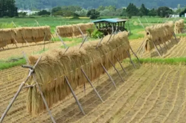 視察して分かった、日本と中国の農業における様々な違い＝中国メディア