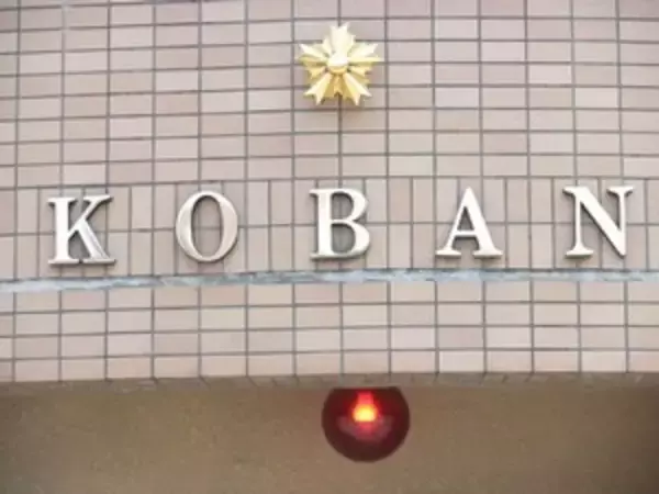 日本の警察官を見て思う、本当の意味で「人民に奉仕している」＝中国メディア