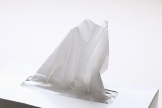 日本人の「きれい好き」は尋常じゃない「毎日風呂に入るし、服装も清潔だし」＝中国