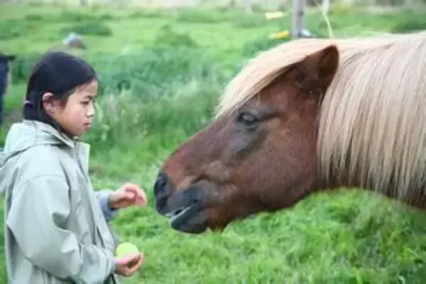 牛小屋の掃除をする日本の６歳児から感じる、「苦労を味わう」教育＝中国メディア　