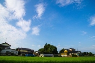 日本がどれだけ豊かかって？　「農村部を見れば良く分かる」＝中国メディア