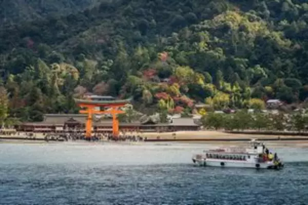 なぜだ！　日本を訪れた中国人はなぜ「リピーター」になってしまうのか＝中国