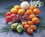 「中国人が語る「訪日して初めて知ることができる日本の文化や慣習」とは＝中国」の画像1