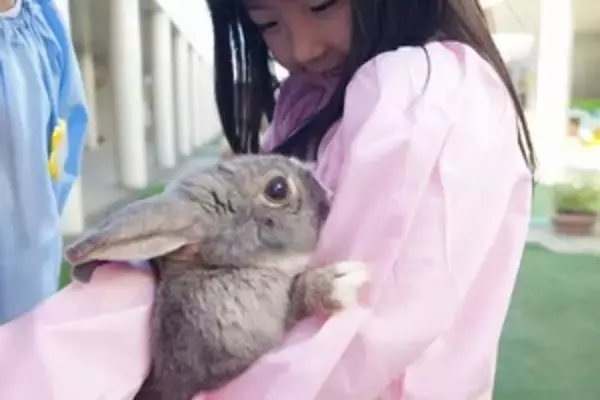 日本の教育現場を見た中国人「日本人がこれほど非情とは思わなかった！」