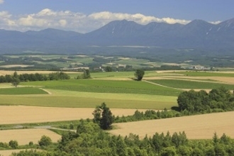 東北地方の農村を訪れた中国人、感じたのは「日本人の美徳」か＝中国メディア