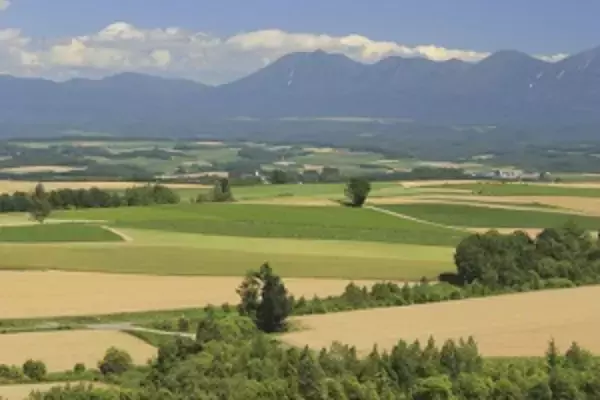 東北地方の農村を訪れた中国人、感じたのは「日本人の美徳」か＝中国メディア