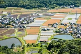 日本の農村は抜きんでている！　中国の農村とは違いすぎた＝中国メディア