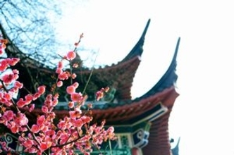 新型肺炎ではっきり分かった！　「日本は尊敬に値する国だった」＝中国メディア