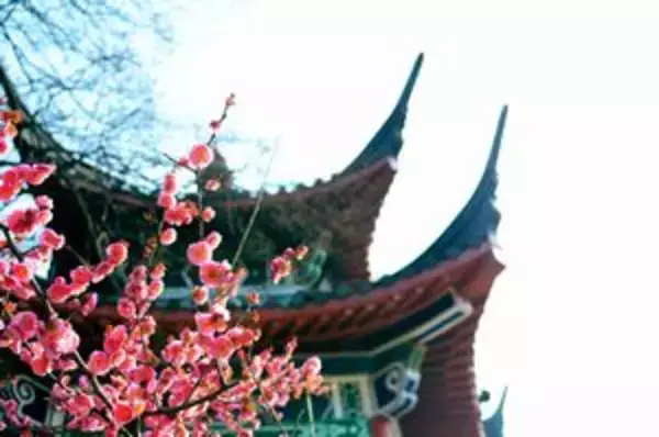 新型肺炎ではっきり分かった！　「日本は尊敬に値する国だった」＝中国メディア