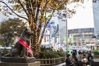 中国人が語る「日本人の性格から強さを感じる」、それは「怖くなるほど」＝中国