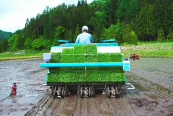 我が国は今こそ日本の「高付加価値な農業」に学ぼうではないか＝中国