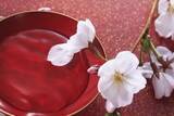 「新型コロナの折、家で「花見酒」・・・日本の「桜が浮き出る盃」がすごい＝中国メディア」の画像1