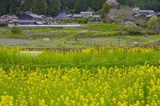 これが日本の田舎なのか・・・わずか３泊しただけで「常識が覆された」＝中国報道