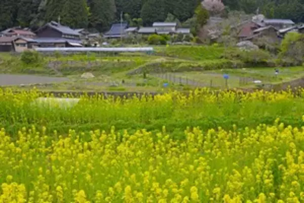 これが日本の田舎なのか・・・わずか３泊しただけで「常識が覆された」＝中国報道