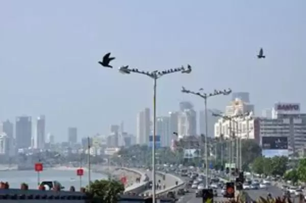 日本は「インドの高速鉄道計画を受注したことを後悔している」ことだろう＝中国報道