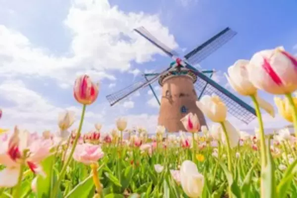 「感染者増加、政府の強い呼びかけ・・・それでも日本人の「足」は止まらない＝中国メディア」の画像